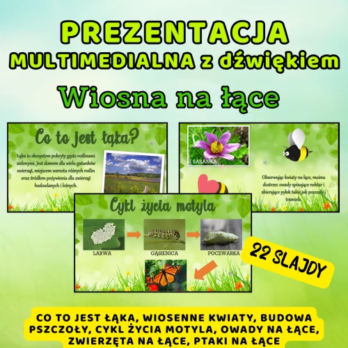 sklejka - prezentacja (2).png